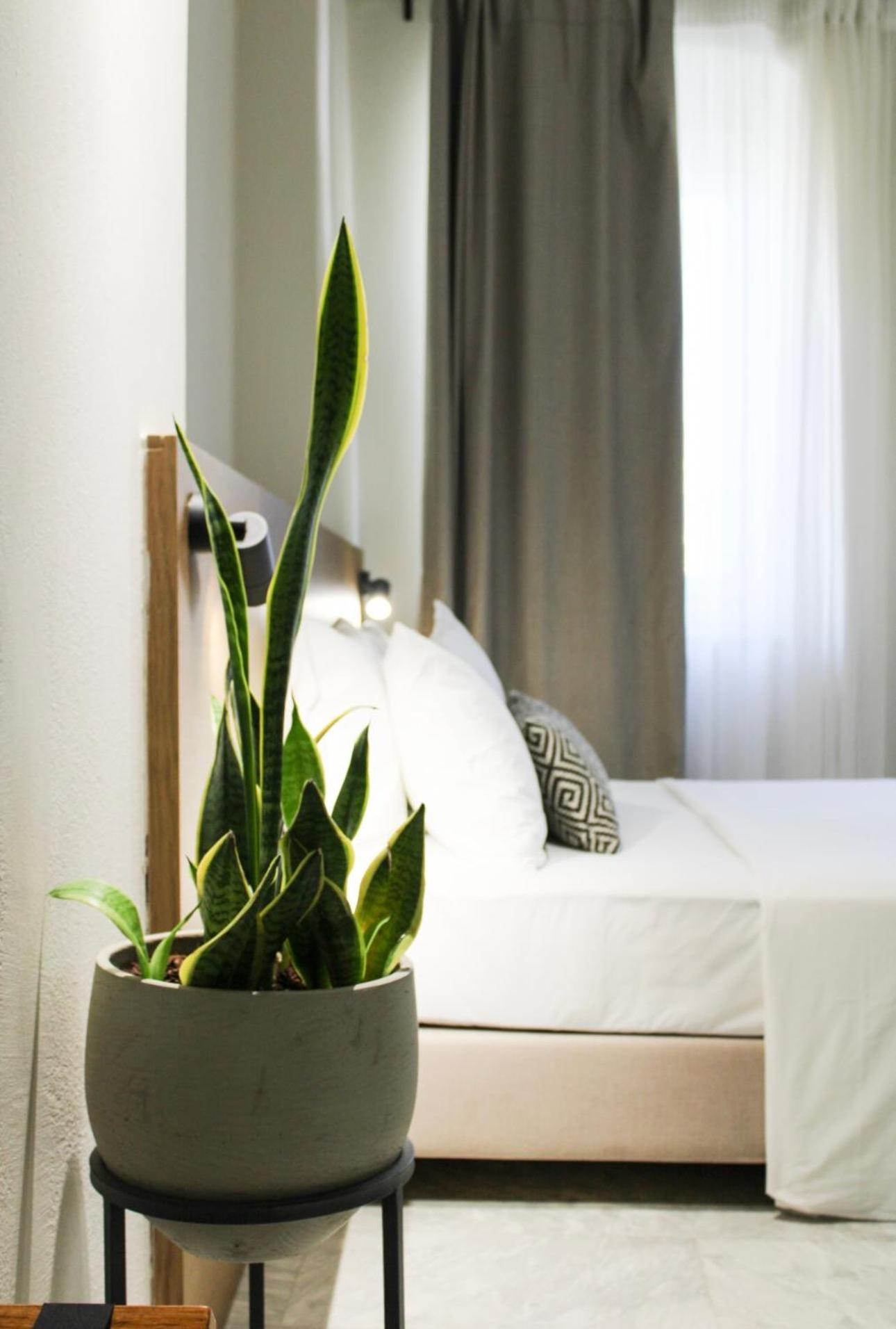 Oiko Mini Suites Ermoupoli Esterno foto